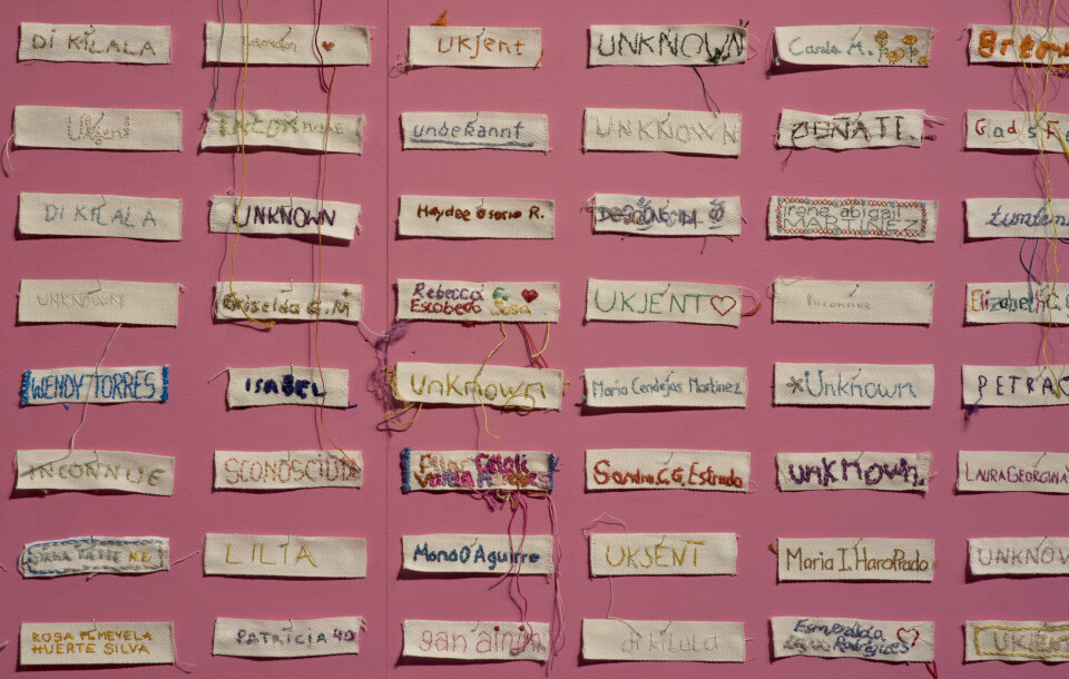 Detalj, Lise Bjørne Linnert, Desconocida/Unknown/Ukjent, 2006 – pågående. Foto: Dag-Arve Forbergskog Detalj, Lise Bjørne Linnert, Desconocida/Unknown/Ukjent, 2006 – pågående. Foto: Dag-Arve Forbergskog