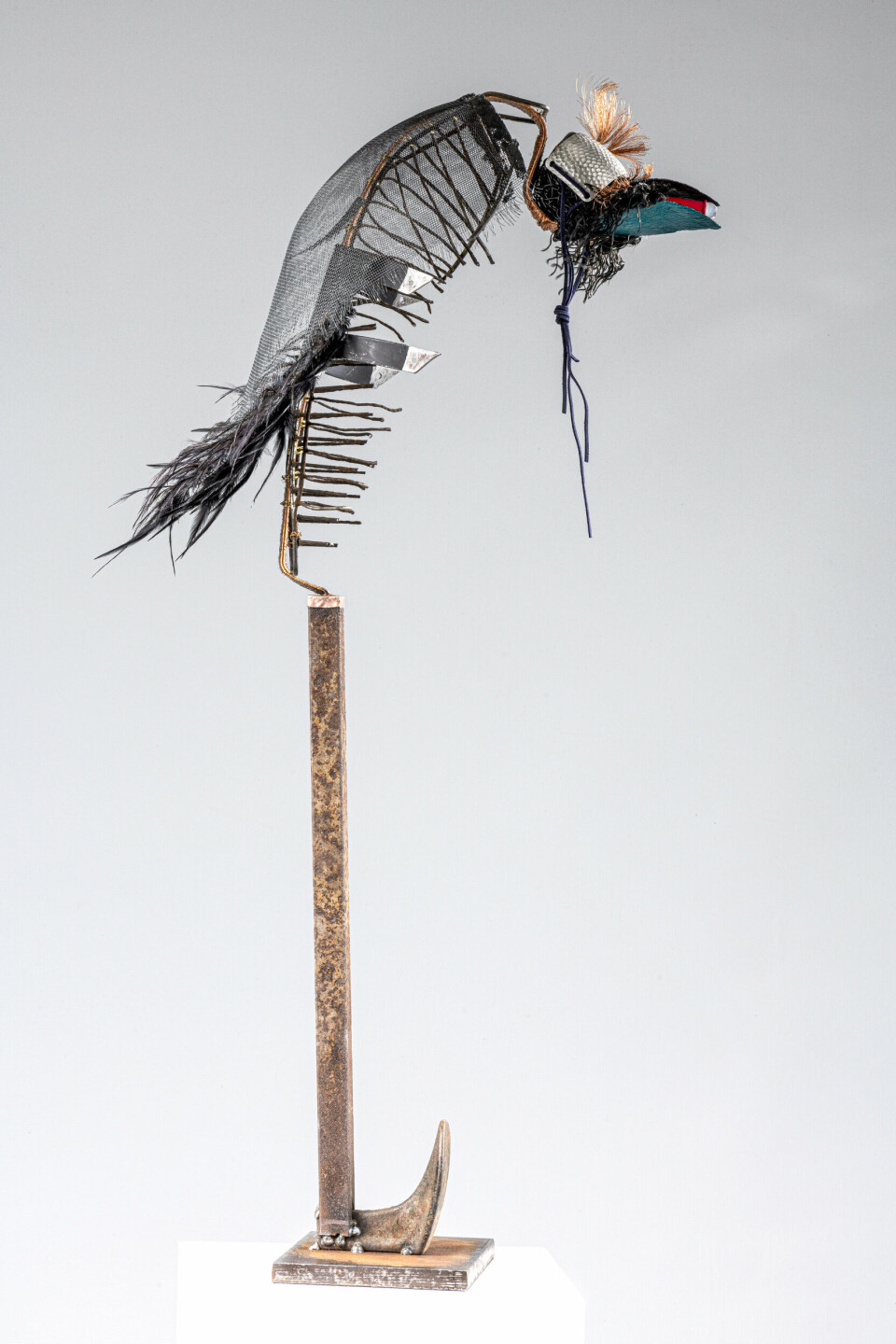 Torunn Myrann, Blind fugl. Foto: Tom Riis Torunn Myrann, Blind fugl. Foto: Tom Riis