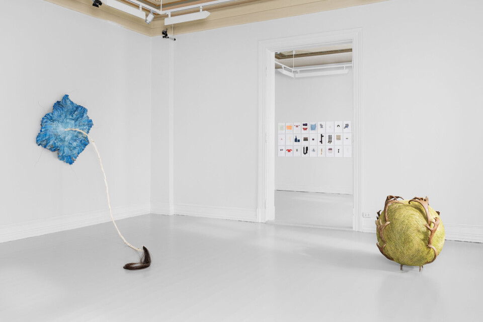 Aslaug M. Juliussen, Multiple Stitches – sight in absence (venstre) og OvdagiehdaKuvlla / ForehandSphere (høyre). Kari Steihaug, De ufullendte (innerst). Foto: Istvan Virag Aslaug M. Juliussen, Multiple Stitches – sight in absence (venstre) og OvdagiehdaKuvlla / ForehandSphere (høyre). Kari Steihaug, De ufullendte (innerst). Foto: Istvan Virag