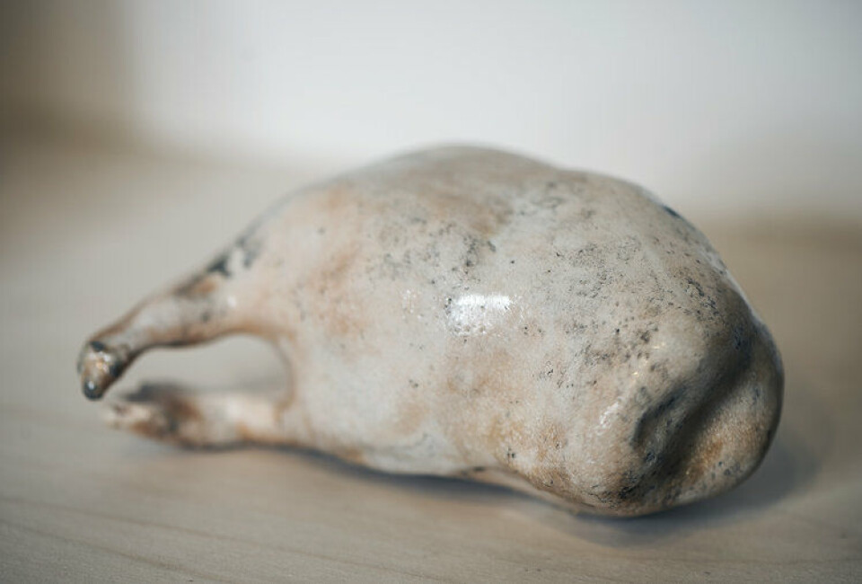 Moa_33_ Moa_33_.jpg