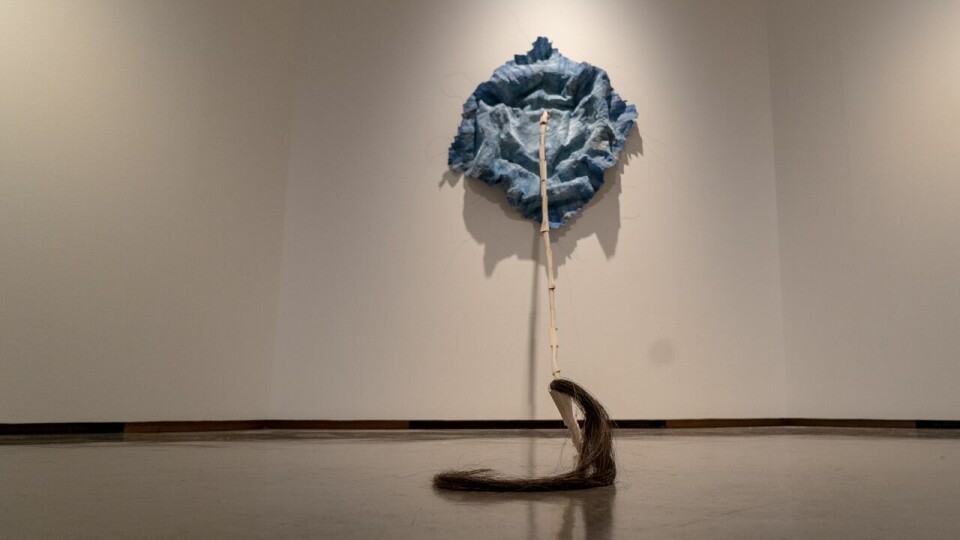 Aslaug M. Juliussen, Mangfoldige ting – Syn i sying IV. Foto: Kjetil Rydland/Nordnorsk Kunstmuseum Aslaug M. Juliussen, Mangfoldige ting – Syn i sying IV. Foto: Kjetil Rydland/Nordnorsk Kunstmuseum