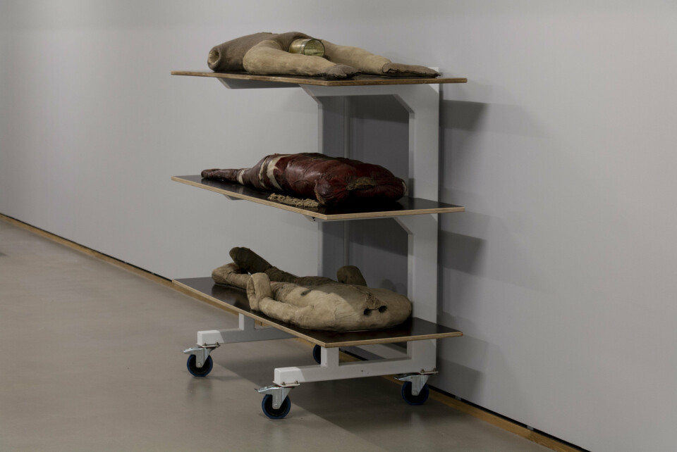 Éva Mag, Det här tar jag med mig, 2015–19. Detalj. Tekstil, leire, kompositt, stål, voks, glass, Plexiglass plywood. Galleri Riis Oslo/Stockholm, Éva Mag, BONO 2019. Foto: Aage A. Mikalsen/Kunsthall Trondheim Éva Mag, Det här tar jag med mig, 2015–19. Detalj. Tekstil, leire, kompositt, stål, voks, glass, Plexiglass plywood. Galleri Riis Oslo/Stockholm, Éva Mag, BONO 2019. Foto: Aage A. Mikalsen/Kunsthall Trondheim