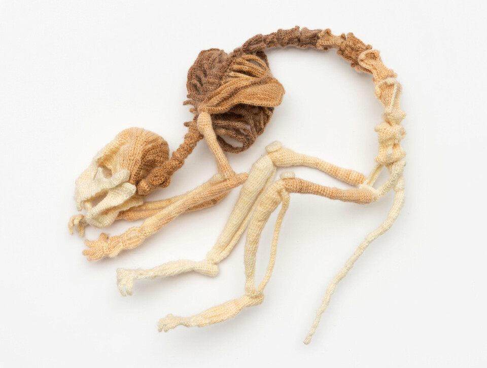 Kadri Allekand, Inside a Cat I, 2016. Crochet in mixed wool yarn. Foto: Dag Fosse / KODE Kadri Allekand, Inside a Cat I, 2016. Crochet in mixed wool yarn. Foto: Dag Fosse / KODE