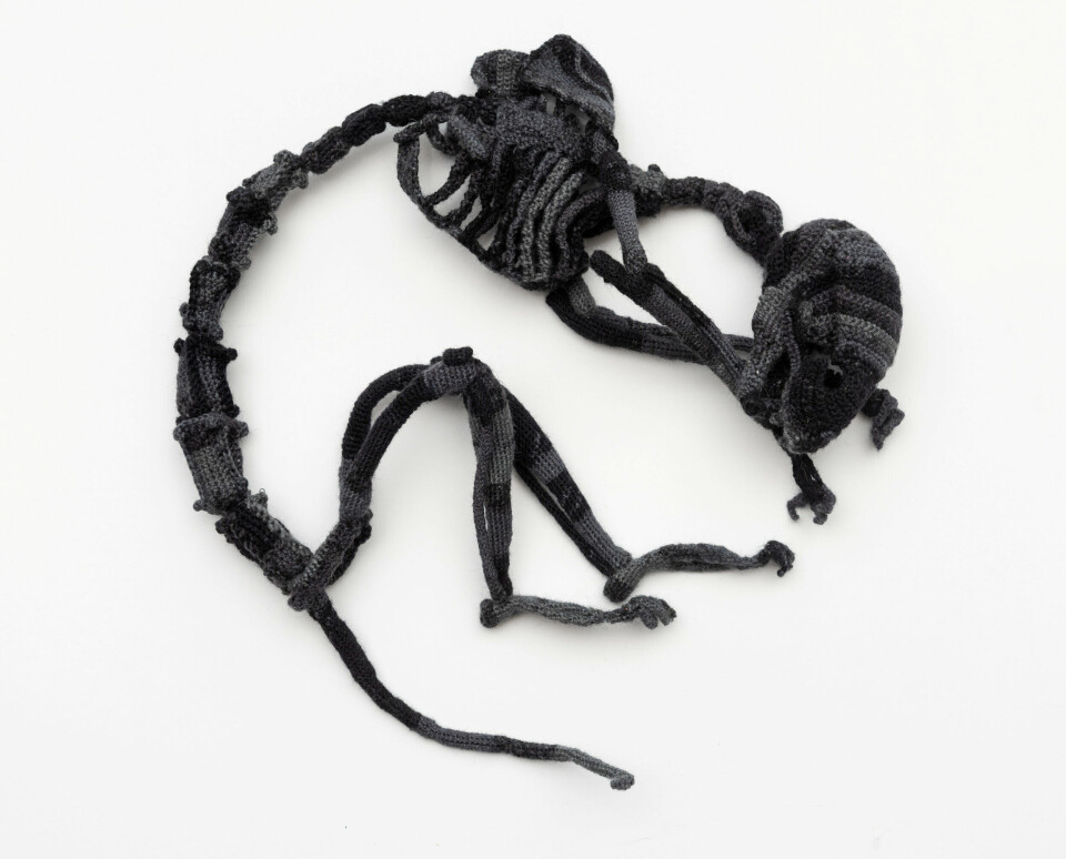 Kadri Allekand, Inside a Cat I, 2016. Crochet in mixed wool yarn. Foto: Dag Fosse / KODE Kadri Allekand, Inside a Cat I, 2016. Crochet in mixed wool yarn. Foto: Dag Fosse / KODE