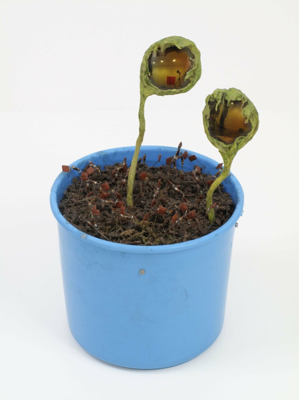 Tetsumi Kudo, Cultivation by Nature & People Who Are Looking at It, 1970-71. Plastikspand, spejlglas, papmache, bomuld, kunstig jord, kunstharpiks, klæbestof, maling, kunstigt hår. 36 x 23 x 23 cm. Privatsamling© Tetsumi Kudo / Adagp, Paris 2020 / VISDA Tetsumi Kudo, Cultivation by Nature & People Who Are Looking at It, 1970-71. Plastikspand, spejlglas, papmache, bomuld, kunstig jord, kunstharpiks, klæbestof, maling, kunstigt hår. 36 x 23 x 23 cm. Privatsamling© Tetsumi Kudo / Adagp, Paris 2020 / VISDA