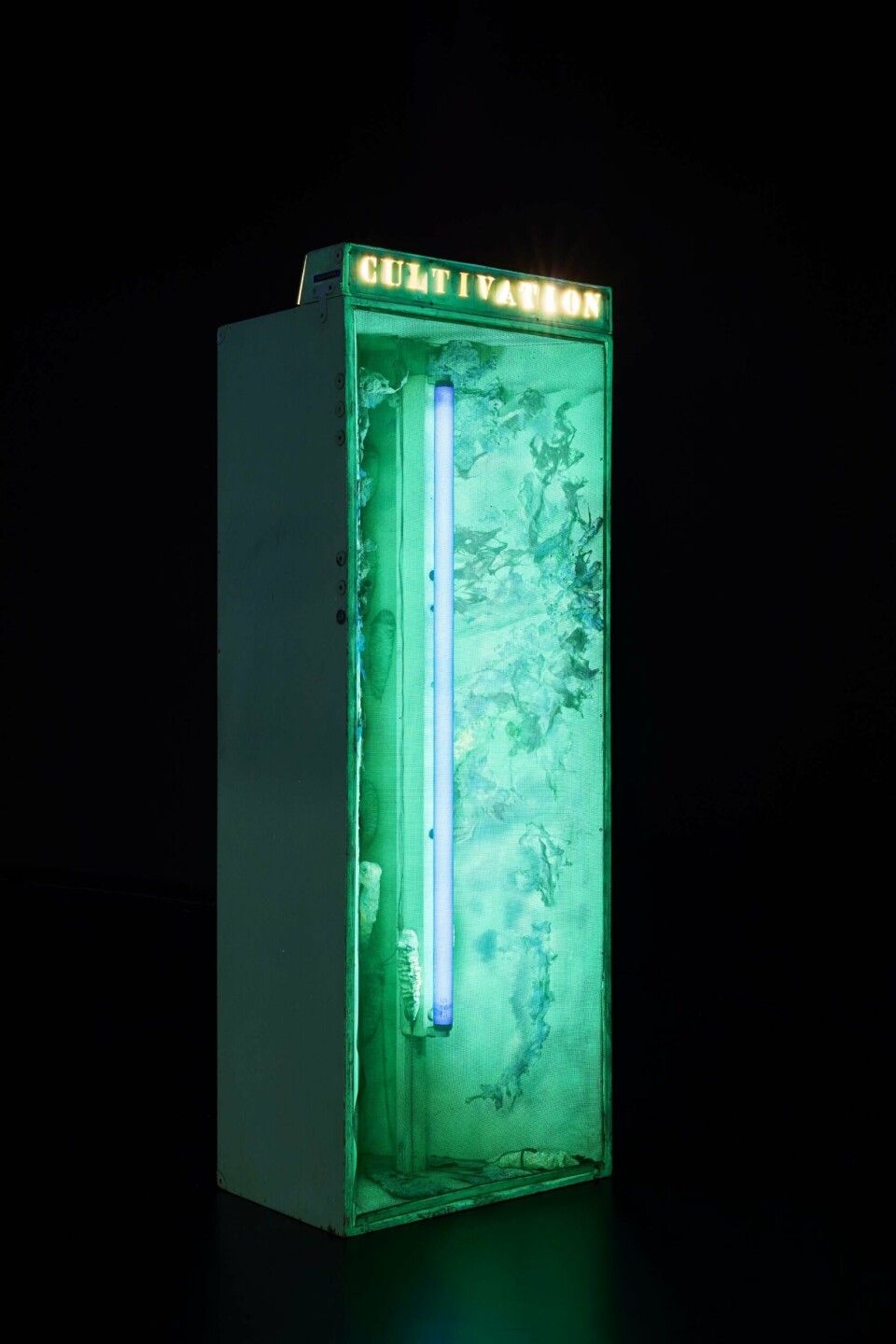 Tetsumi Kudo, Cultivation by Radioactivity, 1967. UV-rør, papmaché, maling, metaltråd, 175 x 63 x 50 cm. Collection Fabre. Foto: documenta archiv / Fabian Frinzel © Tetsumi Kudo / Adagp, Paris 2020 / VISDA Tetsumi Kudo, Cultivation by Radioactivity, 1967. UV-rør, papmaché, maling, metaltråd, 175 x 63 x 50 cm. Collection Fabre. Foto: documenta archiv / Fabian Frinzel © Tetsumi Kudo / Adagp, Paris 2020 / VISDA