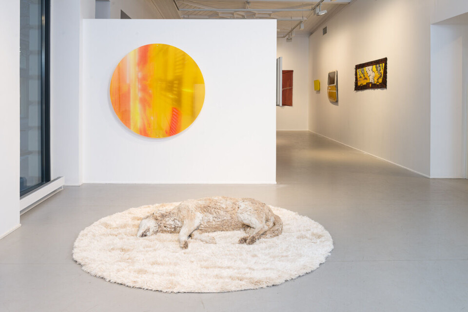 Andrea Scholze, Lost in time. Foto: Thomas Tveter Andrea Scholze, Lost in time. Foto: Thomas Tveter
