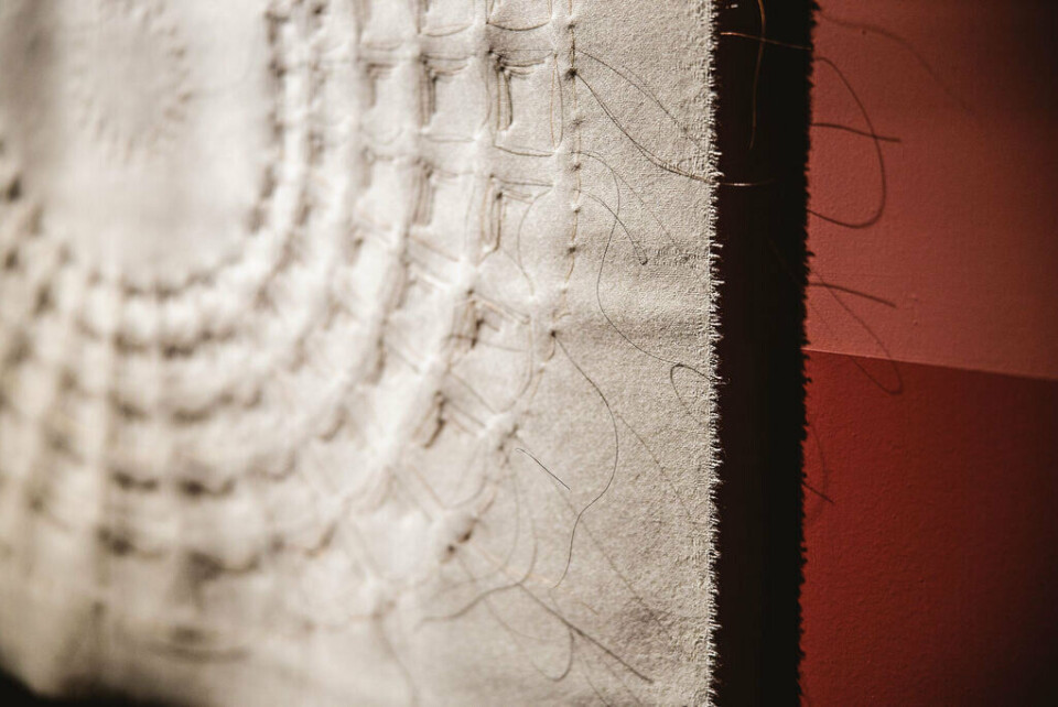 Detalj av Malfridur Adalsteinsdottir, Pantheon, 2013. Broderi med hestehår. Foto: Wil Lee-Wright Detalj av Malfridur Adalsteinsdottir, Pantheon, 2013. Broderi med hestehår. Foto: Wil Lee-Wright