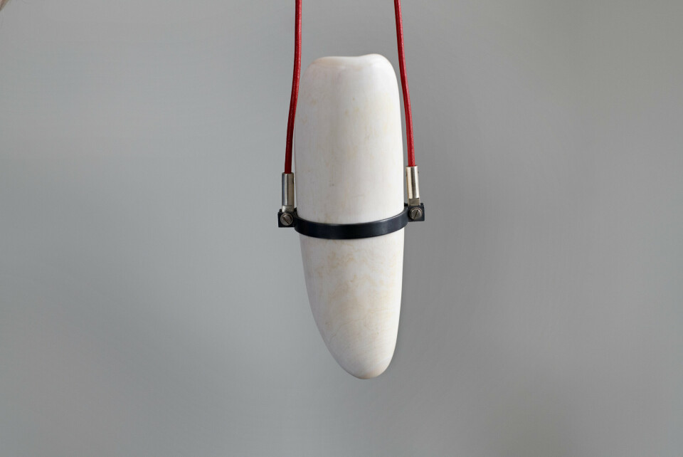 Sigurd Bronger, Bæreinstrument for hvaltann, 2019. Hvaltann, oksidert sølv, stål og lærsnor. Foto: Ingun A. Mæhlum Sigurd Bronger, Bæreinstrument for hvaltann, 2019. Hvaltann, oksidert sølv, stål og lærsnor. Foto: Ingun A. Mæhlum