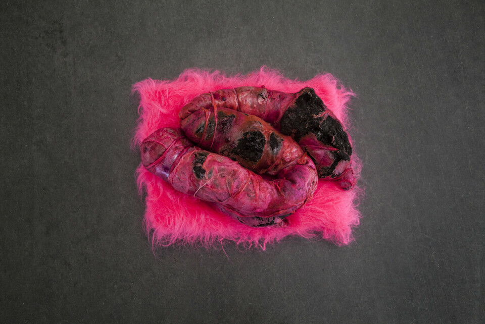 Pia Antonsen Rognes, Traces of love and revulsion. Foto: Magnús Elvar Jónsson Pia Antonsen Rognes, Traces of love and revulsion. Foto: Magnús Elvar Jónsson
