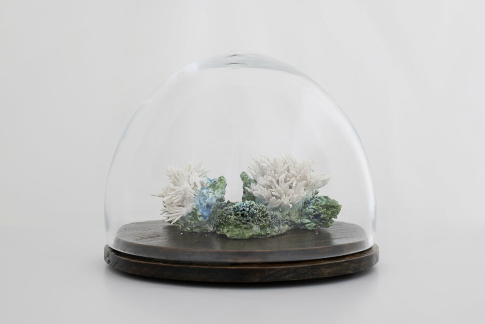 Linda Jansson Lothe, Skjeggfrynsesopp, Thelephora penicillata, 2020. Porselen, lerk, blåst klasskuppel. Foto: Ingun A. Mæhlum Linda Jansson Lothe, Skjeggfrynsesopp, Thelephora penicillata, 2020. Porselen, lerk, blåst klasskuppel. Foto: Ingun A. Mæhlum