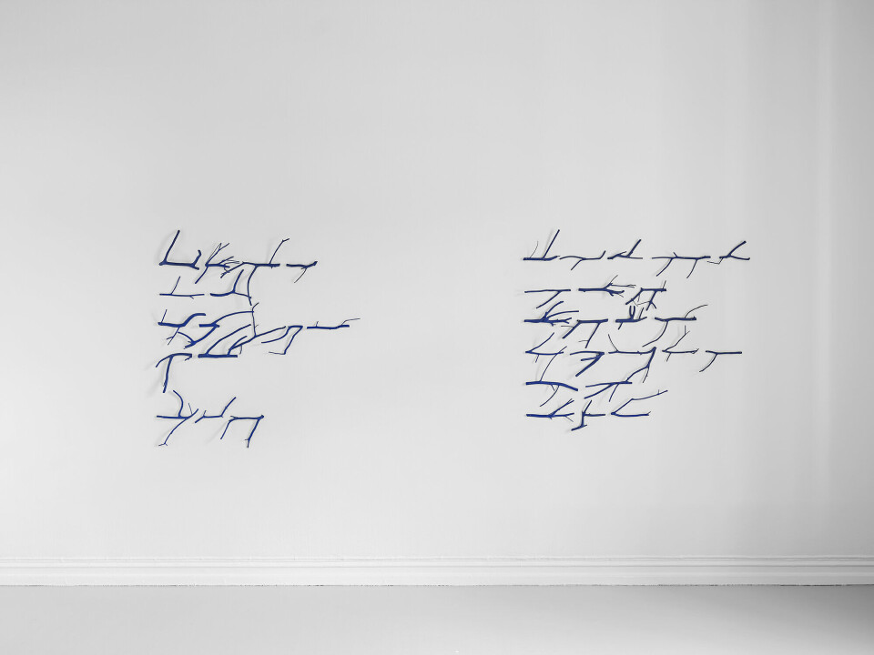 Guðjón Ketilsson, Poem I-II, 2019. Tre, maling. Foto: Vegard KlevenFilosofiske perspektiver hentet fra nymaterialisme og animisme, om at alt har en sjel, og at alle materier har en verdi og en betydning, er artikulert i flere av verkene i utstillingen. Det gjelder også for Guðjón Ketilsson som i sine verk setter sammen møysommelig bearbeidede kvister til setningslignende komposisjoner. De falne kvistene får nytt liv gjennom språk, og i diktform beveger verkene seg forbi sin materialitet. Guðjón Ketilsson, Poem I-II, 2019. Tre, maling. Foto: Vegard KlevenFilosofiske perspektiver hentet fra nymaterialisme og animisme, om at alt har en sjel, og at alle materier har en verdi og en betydning, er artikulert i flere av verkene i utstillingen. Det gjelder også for Guðjón Ketilsson som i sine verk setter sammen møysommelig bearbeidede kvister til setningslignende komposisjoner. De falne kvistene får nytt liv gjennom språk, og i diktform beveger verkene seg forbi sin materialitet.