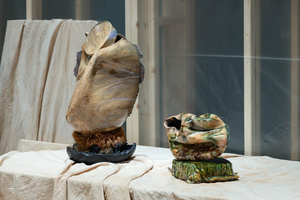 Heidi Bjørgan, I Have Always Been Here Before. Foto: Kunstdok / Istvan Virag Heidi Bjørgan, I Have Always Been Here Before. Foto: Kunstdok / Istvan Virag