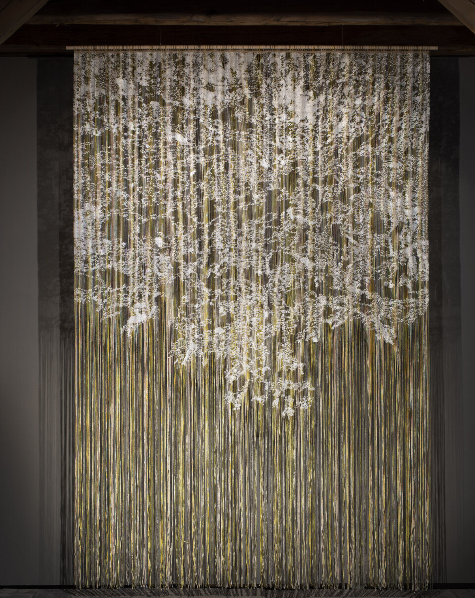 Anne Stabell, Betula Pendula (2023).